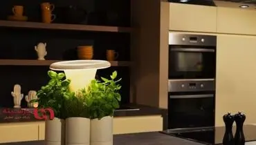 پرورش گیاه هم هوشمند می‌شود