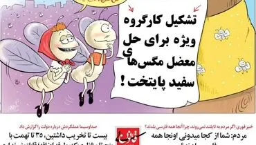 مگس‌ های سفید تهران خانه‌دار می‌ شوند!