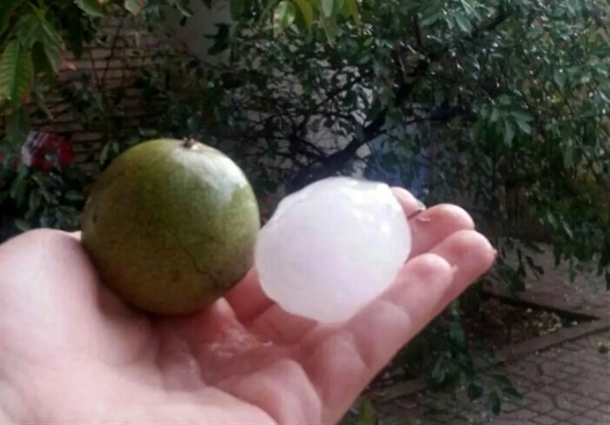 بارش تگرگ به اندازه گردو در اهر