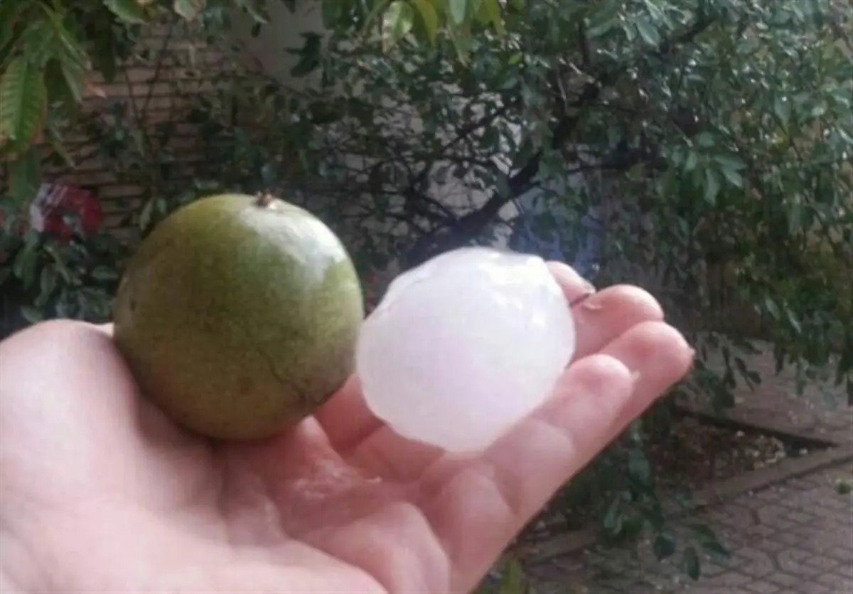 بارش تگرگ به اندازه گردو در اهر