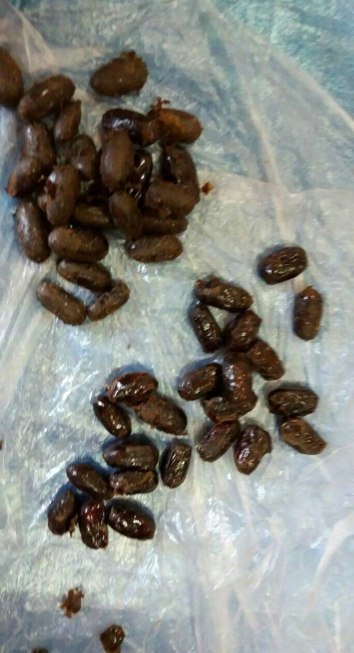 خرما با طعم تریاک!