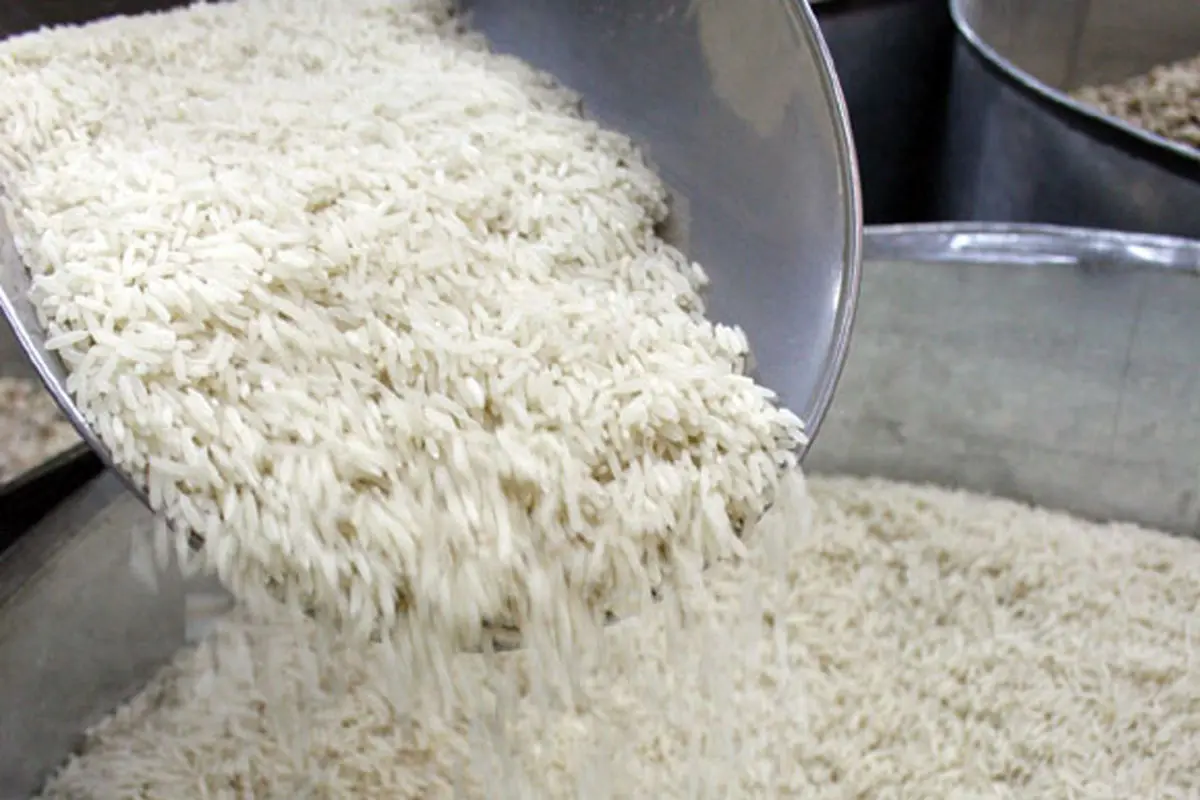 چالش برنج‌های آلوده ادامه دارد/ وارداتی‌های مشکل دار!