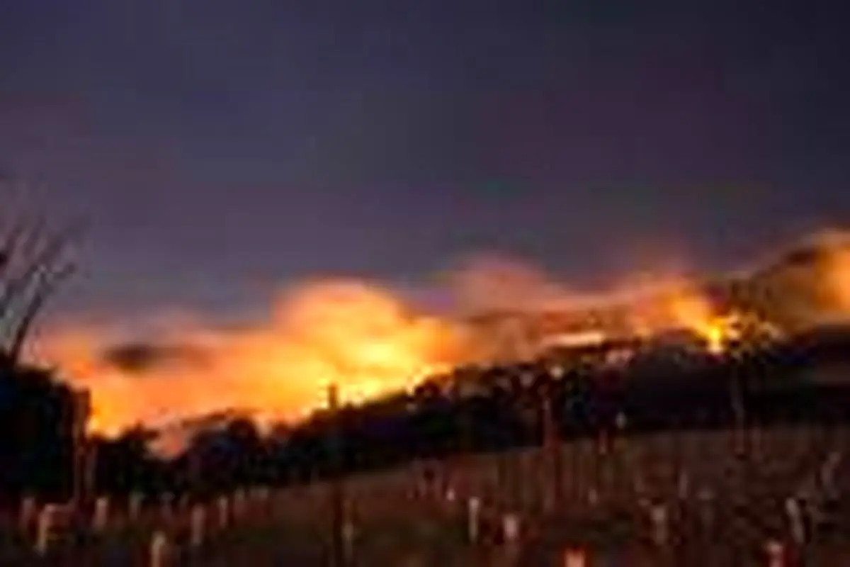فاجعه آتش سوزی در کالیفرنیا