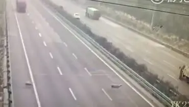 وقتی بزها در بزرگراه حادثه می آفرینند!