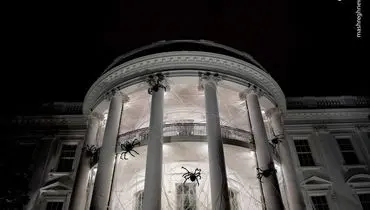 کاخ سفید در تصرف عنکبوت‌ها