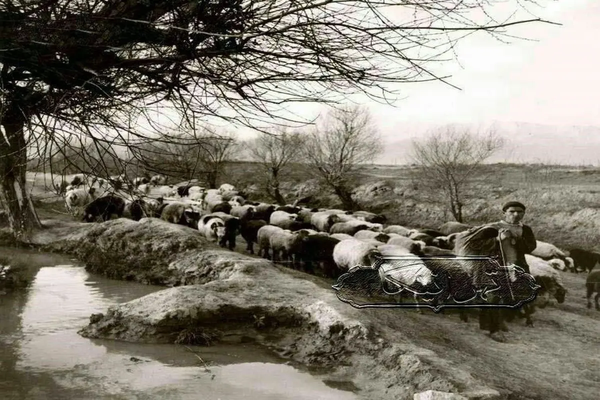 تهران، بلوار کشاورز، ۱۰۰ سال پیش+عکس