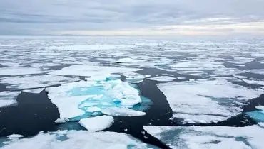 چرا انسان‌ها نمی‌توانند در قطب شمال زندگی کنند؟

