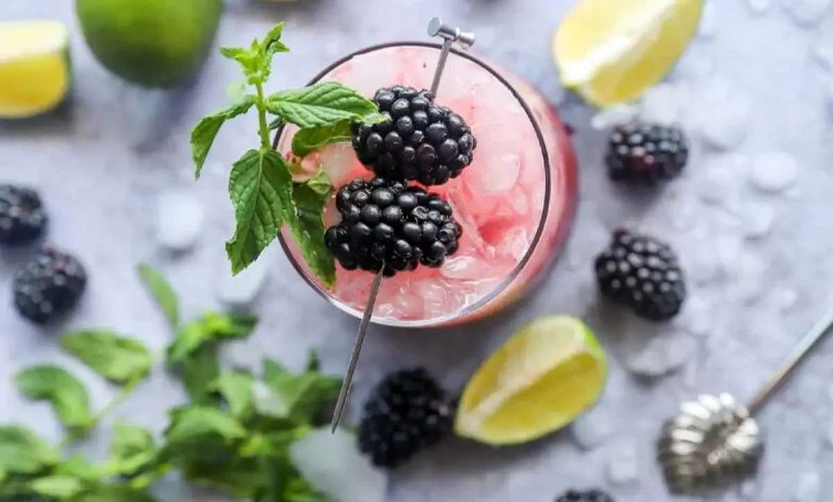 طرز تهیه موهیتو توت سیاه بهاری