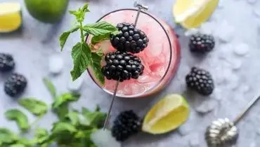 طرز تهیه موهیتو توت سیاه بهاری