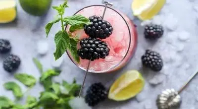 طرز تهیه موهیتو توت سیاه بهاری
