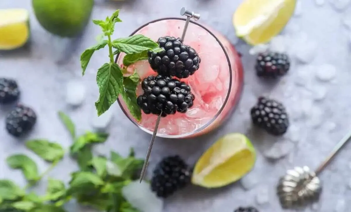 طرز تهیه موهیتو توت سیاه بهاری