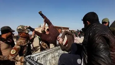 انتقال یک داعشی همچون زباله +عکس