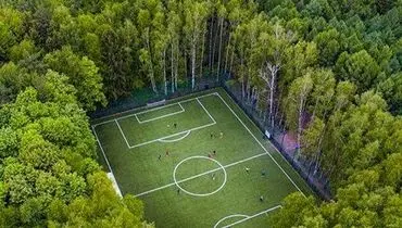 زمین فوتبال رویایی در جنگل
