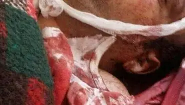 عاقبت هم‌نشینی با عبدالله صالح+عکس