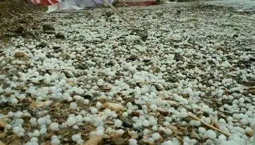 بارش تگرگ در مناطق زلزله‌زده+عکس