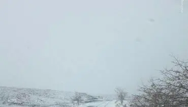 بارش برف پاییزی در جاده طرقبه