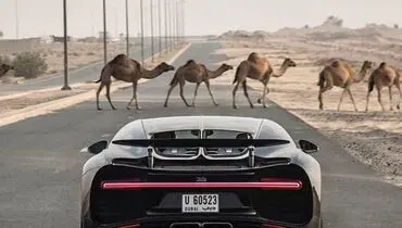 عکس جالب از گذشته و حال دوبی