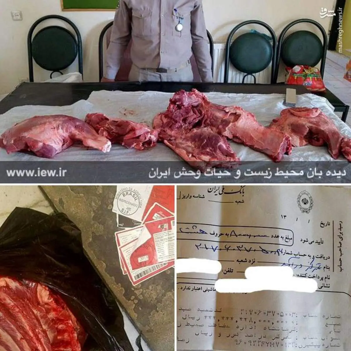 فروش گوشت گراز در سرپل ذهاب +عکس