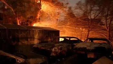 آخرین وضعیت آتش سوزی هولناک «توماس»
