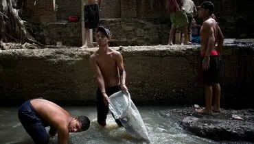 جستجو برای یافتن طلا در کانال فاضلاب