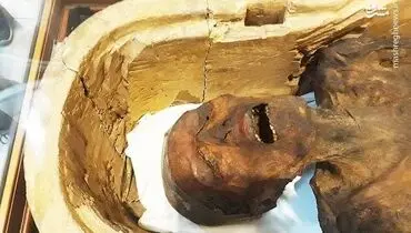 مومیایی که فریاد می‌زند +عکس