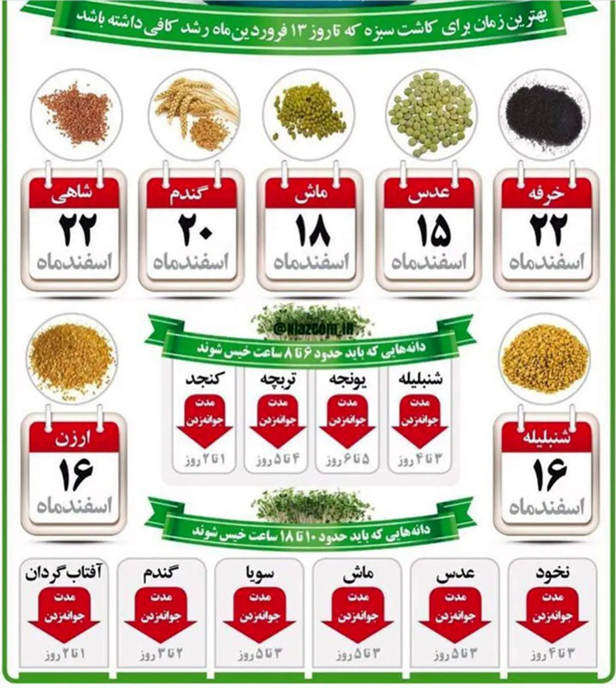 بهترین زمان برای کاشت سبزه عید