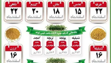 بهترین زمان برای کاشت سبزه عید