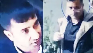 کلاهبرداران حرفه ای را شناسایی کنید