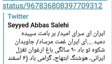 یام توییتری صالحی برای تولد ابتهاج