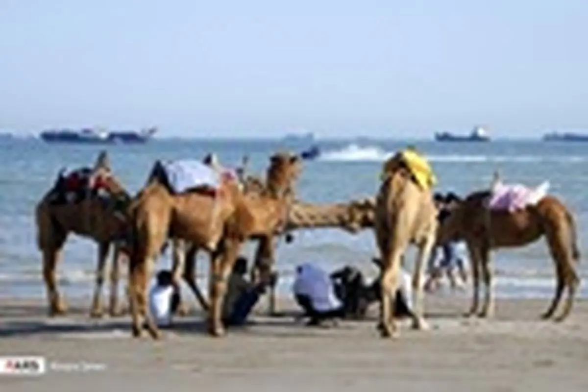 مسافران نوروزی در سواحل بندرعباس