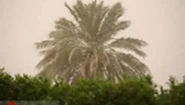 گردو غبار مهمان نوروزی آبادان