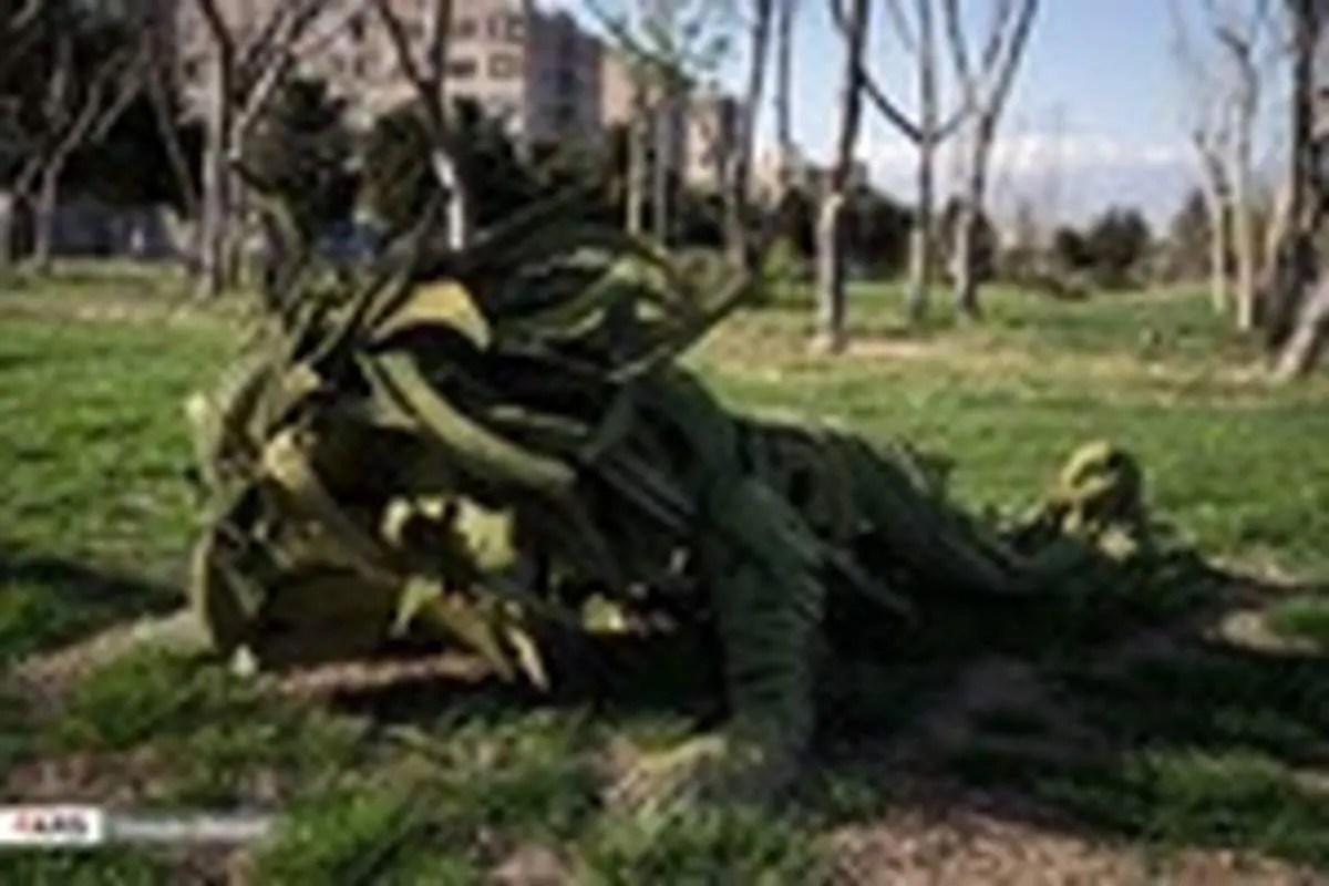 بوستان بازیافت