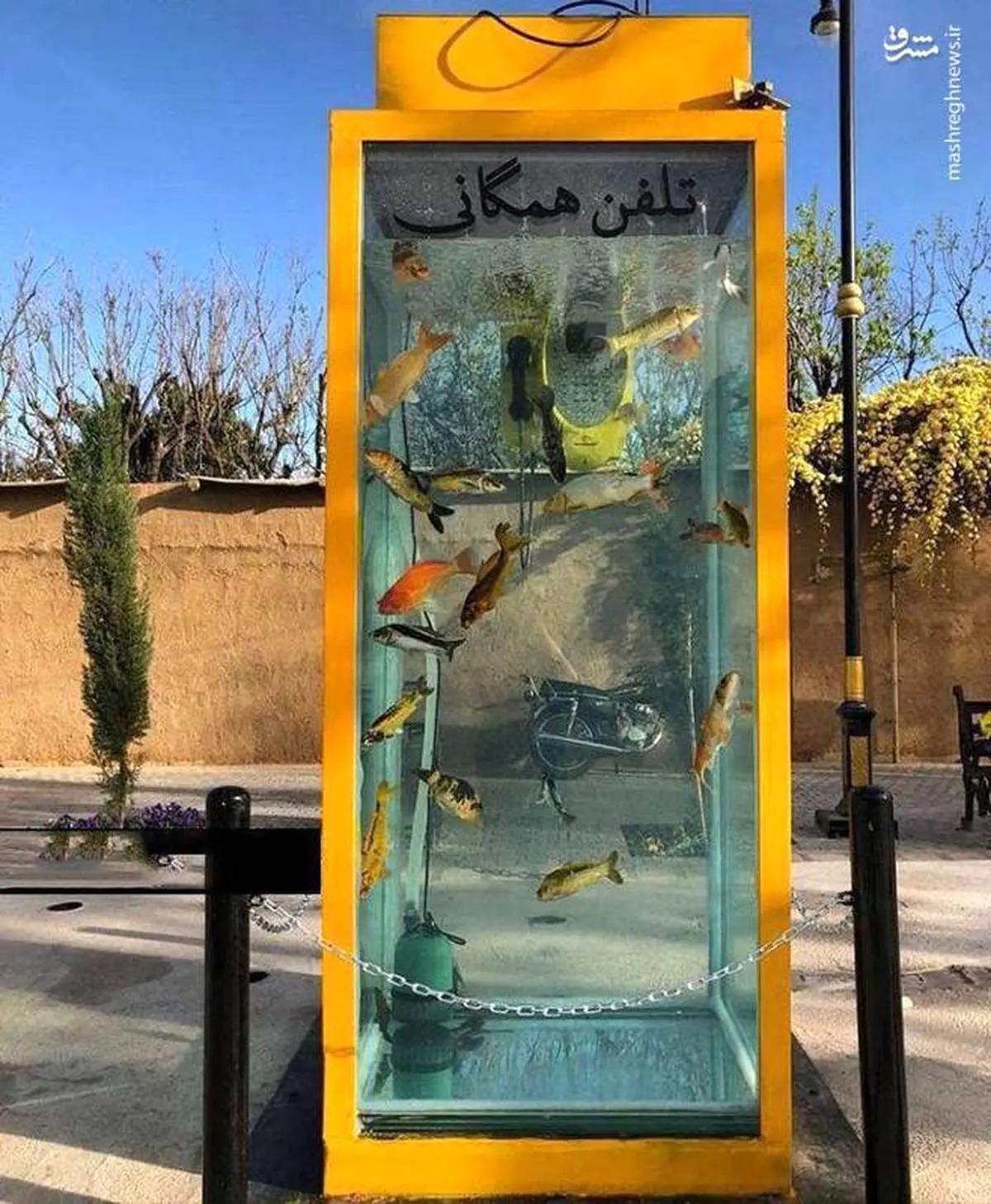 باجه تلفن دیروز، آکواریوم امروز +عکس