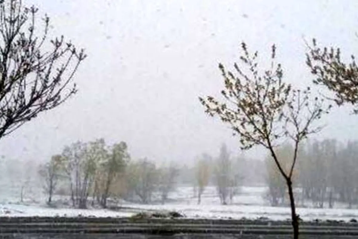برف بهاری در ۸ استان