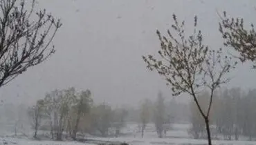 برف بهاری در ۸ استان