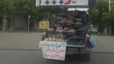 تاثیر ترامپ روی "سیر" ! +عکس