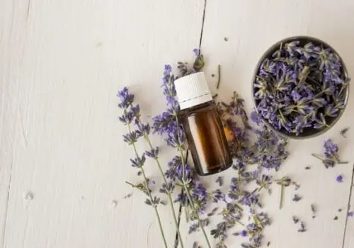 چطور همیشه خانه‌ای خوشبو  و تمیز داشته باشیم؟

