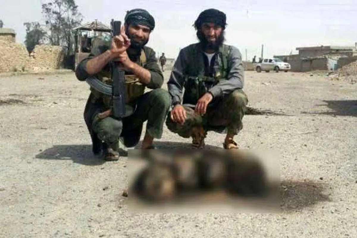 پرونده خونین داعشیِ تازه دستگیر شده + عکس