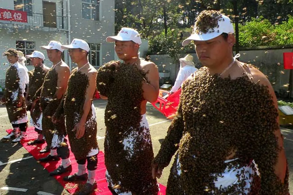عکس:موزه مردان زنبوری