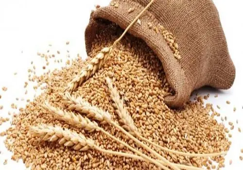 افراد غیرمقید در قبال روزه‌خواری چه کفاره‌ای باید بپردازند؟