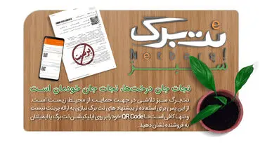 نت‌برگ هم به کمک طبیعت آمد