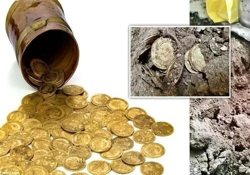 گنج سکه‌های طلا در عمق ۲۰ سانتیمتری کشف شد+تصاویر
