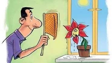 راهنمای تابستانه برای نگهداری گل و گیاه