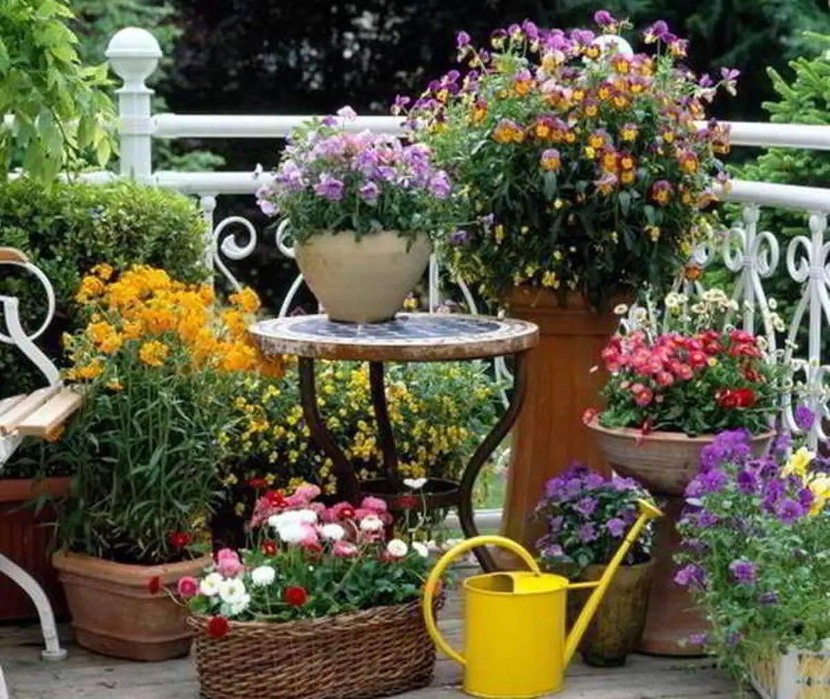 ۵ نکته اولیه درباره ساخت باغچه برای خانه