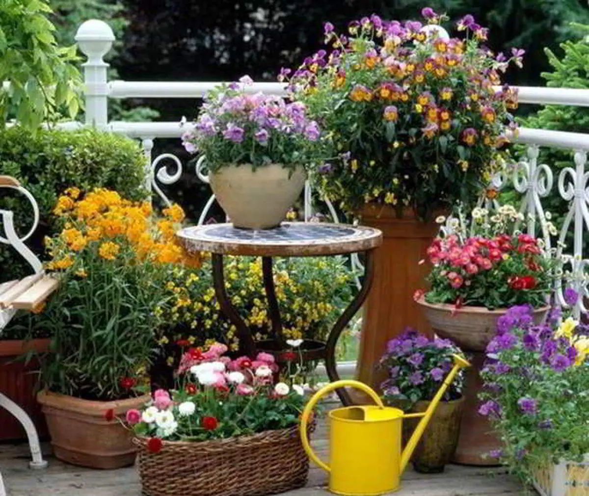 ۵ نکته اولیه درباره ساخت باغچه برای خانه