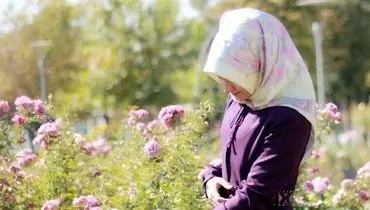 آیا ایمان تنها به حجاب است؟