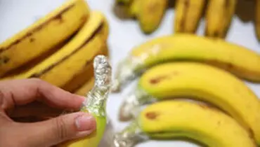 روش صحیح نگهداری موز در یخچال و فریزر