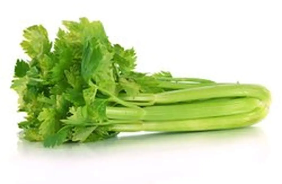 کرفس سرشار از فوائد چشمگیر