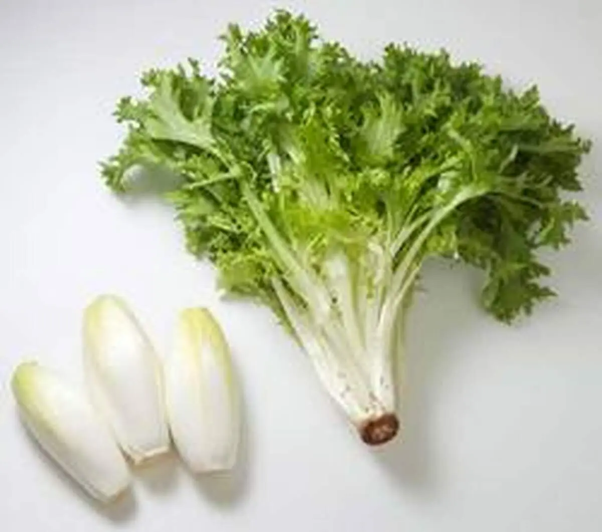 روش صحیح کاشت کاسنی
