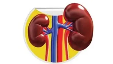 نشانه عفونت ادراری در نوزادی چیست؟